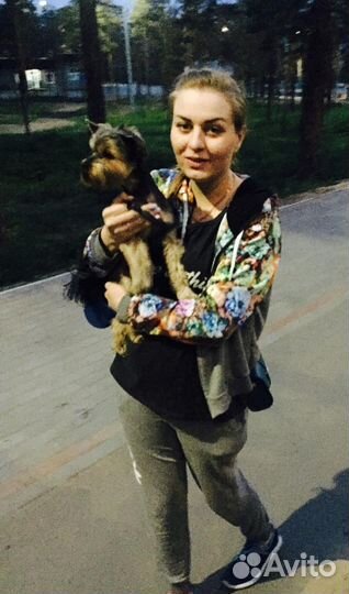 Присмотр,Передержка, выгул животных )