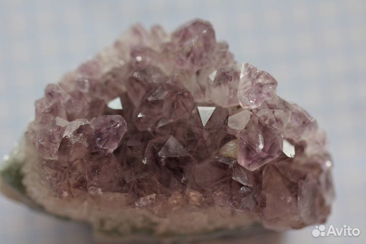 Объектив canon ef 100 mm f/2.8l