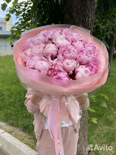 Цветы пионы и букеты с доставкой