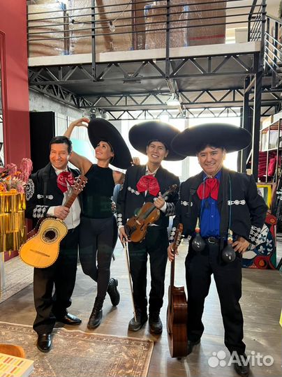 Живая музыка Кавер группа Музыканты Серенада