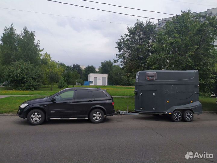 Перевозка лошадей,коневоз,конеперевозки