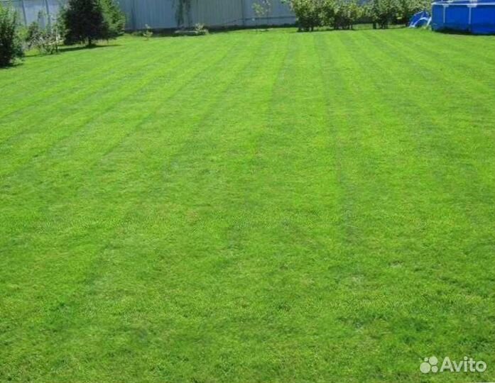 Газон. Семена мешок 10 кг