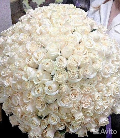 Высокие розы 150 160 170 180 190см доставка Москва