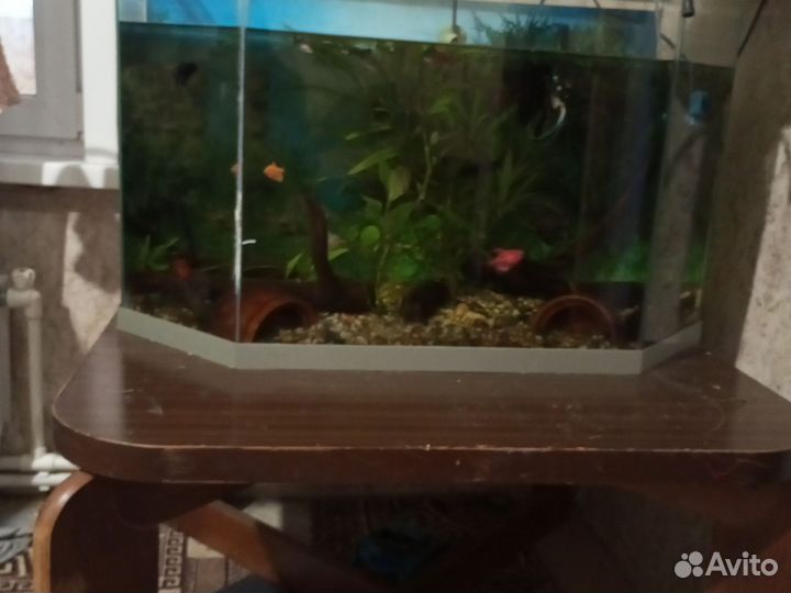 Аквариум 120л