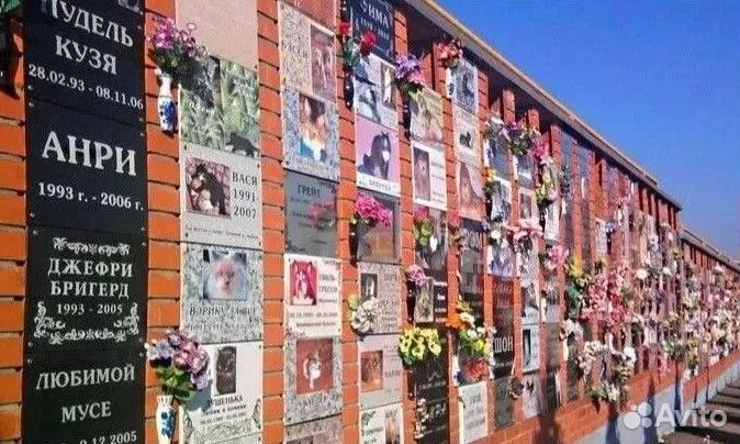 Эксклюзивный бизнес кладбища для домашних животных