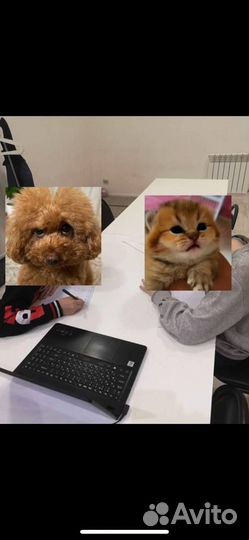 Английский язык для всех