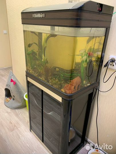 Аквариум с тумбой