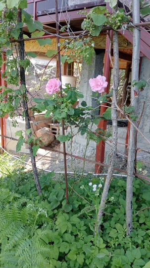 Дом 90 м² на участке 4 сот.