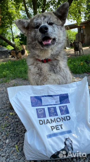 Корм для собак