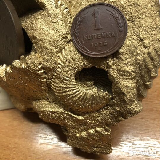 1 коп 1925 г