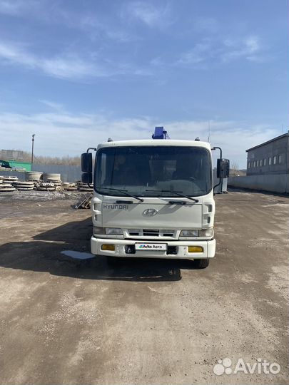 Hyundai HD120 с КМУ, 2010