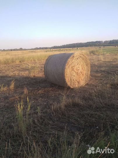 Круглые тюки сена 2023