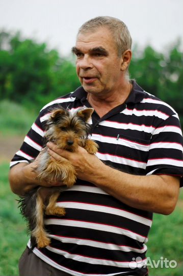 Услуги кинолога, зоопсихолога, дрессировка собак