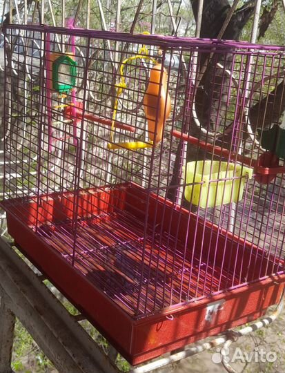 Клетка для попугая бу 40х40