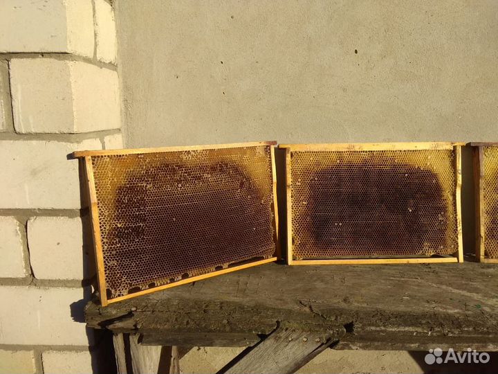 Продам сушь рамки «дадан»