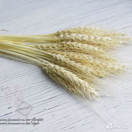 Пшеница натуральная (30 колосков) белая