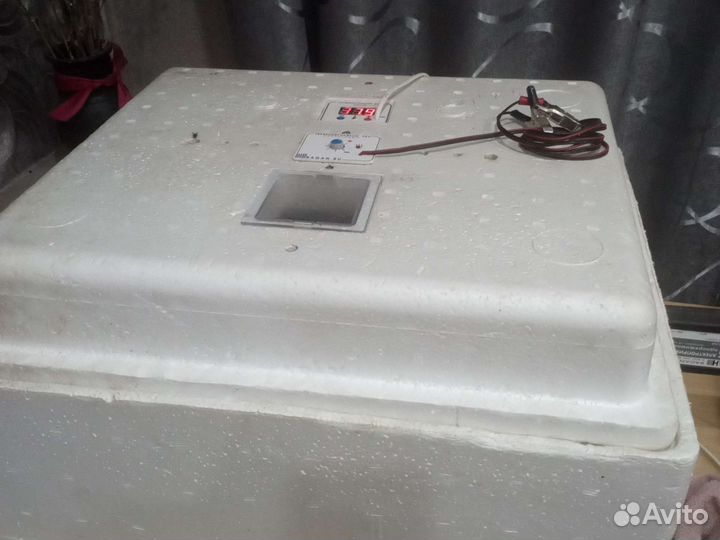 Инкубатор для яиц автоматический бу