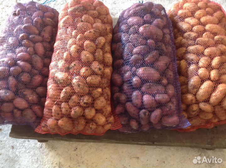 Продам картофель, морковь, свёкла