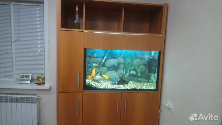 Аквариум 240 л. с рыбками