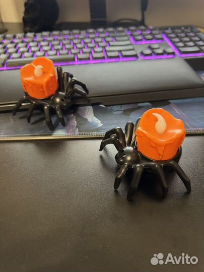 Ночник паучок