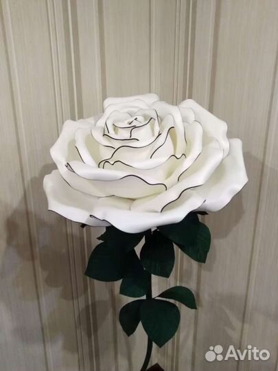 Ростовые цветы