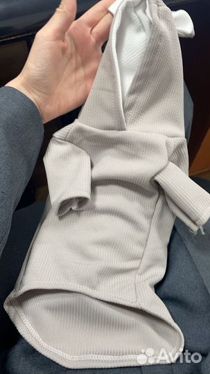 Кофта для кота или собаки