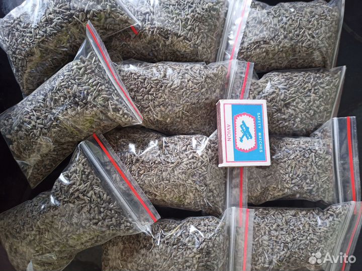 Цветки лаванды крымской