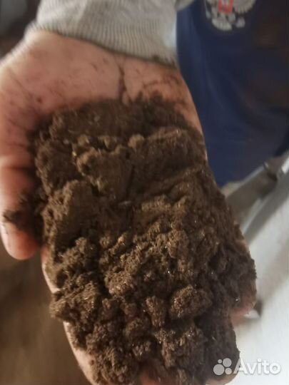 Рапсовый шрот