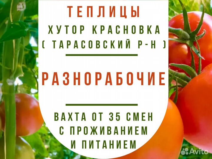 Вахта с проживанием / Разнорабочие в теплицы