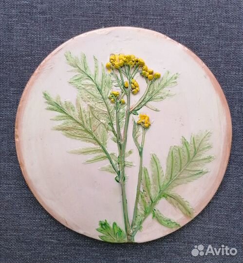 Ботанический барельеф