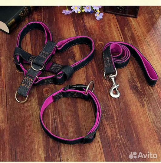 Шлейка с поводком