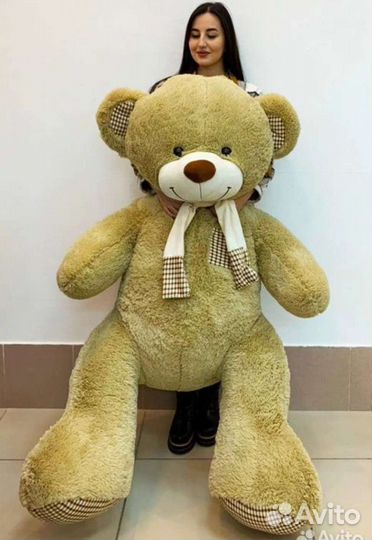 Плюшевый Медведь