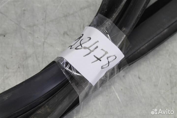 Уплотнитель стекла двери задней левой Ford Focus