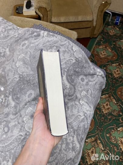 Борис Акунин. История государства