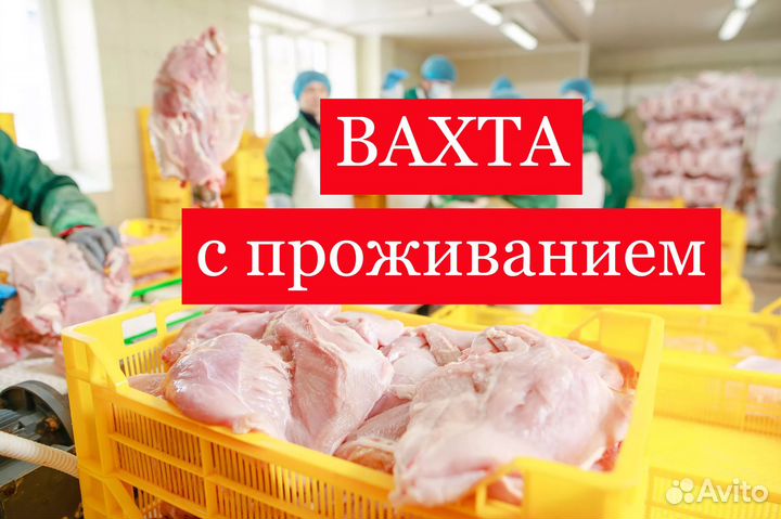 Упаковщик Вахта Проживание/Питание Аванс еженед
