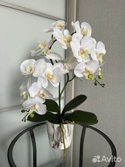Искусственная орхидея Real touch из латекса