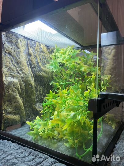 Террариум Exo Terra 30*30*30 +декор и лампы