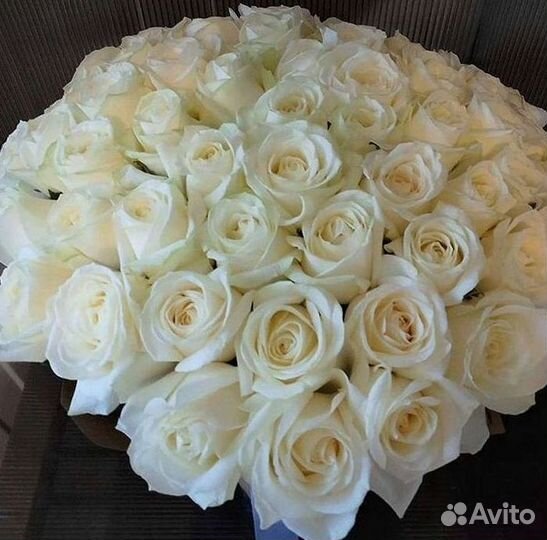 Розы гиганты 140 150 160 170 180 200