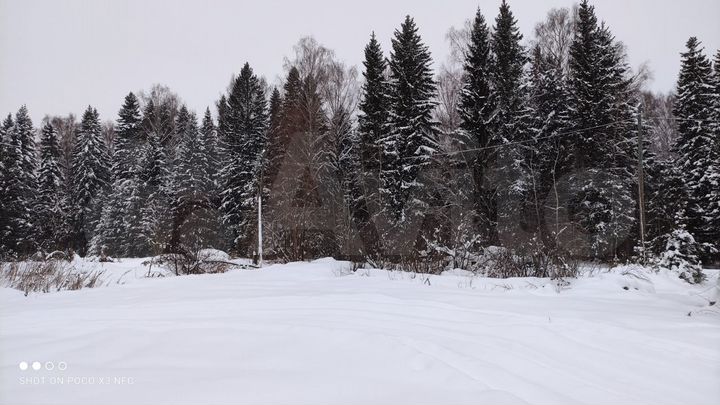 Участок 40 сот. (ИЖС)