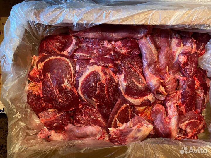 Мясо говядина для собак