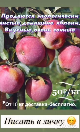 Яблоки