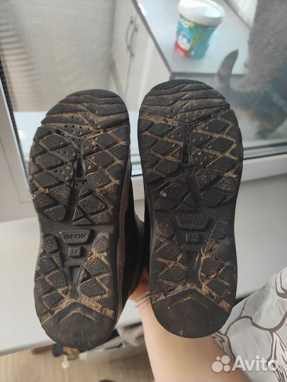 Полусапожки Geox 32