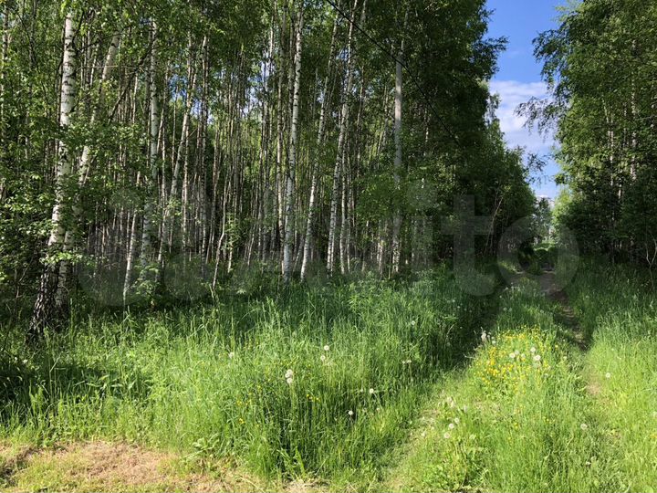 Участок 10 сот. (ИЖС)