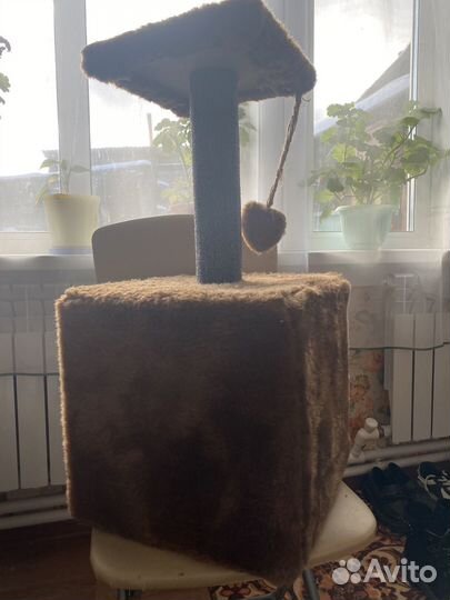 Домик для кошки с когтеточкой бу