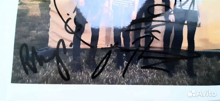 Автограф The horrors