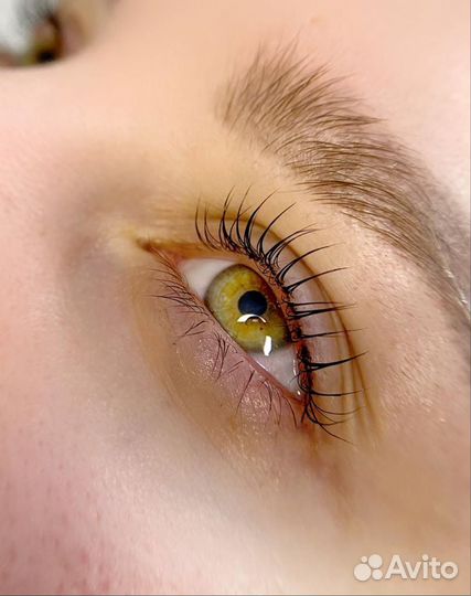 Маникюр педикюр