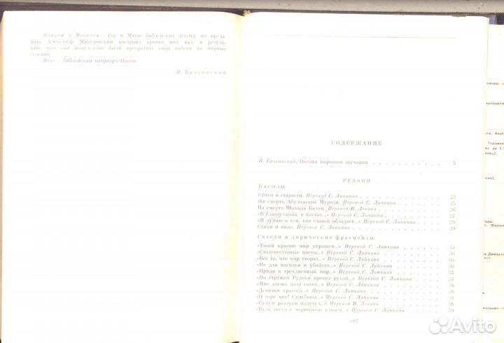 Ирано - таджикская поэзия