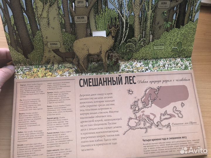 Детские образовательные книги