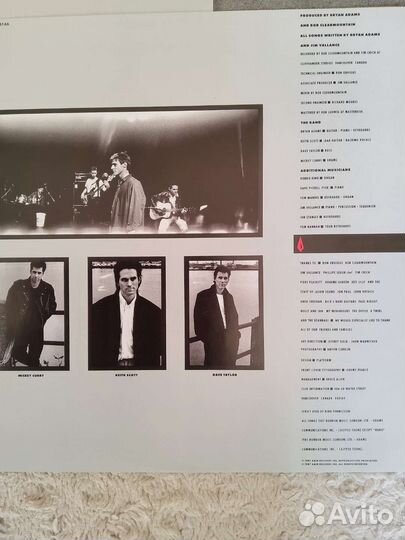 Bryan Adams Виниловые пластинки