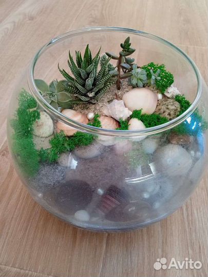 Флорариум. Букет. Комнатные цветы. Подарок